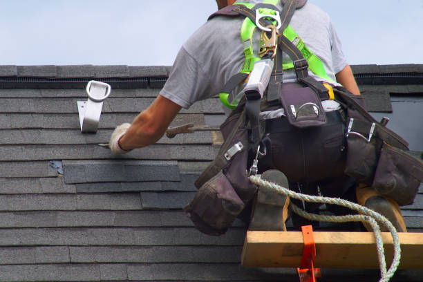 Best Roof Gutter Cleaning  in Santo Domingo Pueblo, NM