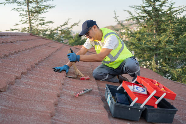 Best Local Roofing Companies  in Santo Domingo Pueblo, NM