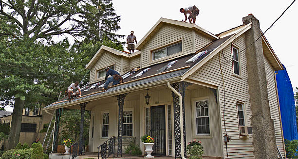 Best Metal Roofing Contractor  in Santo Domingo Pueblo, NM